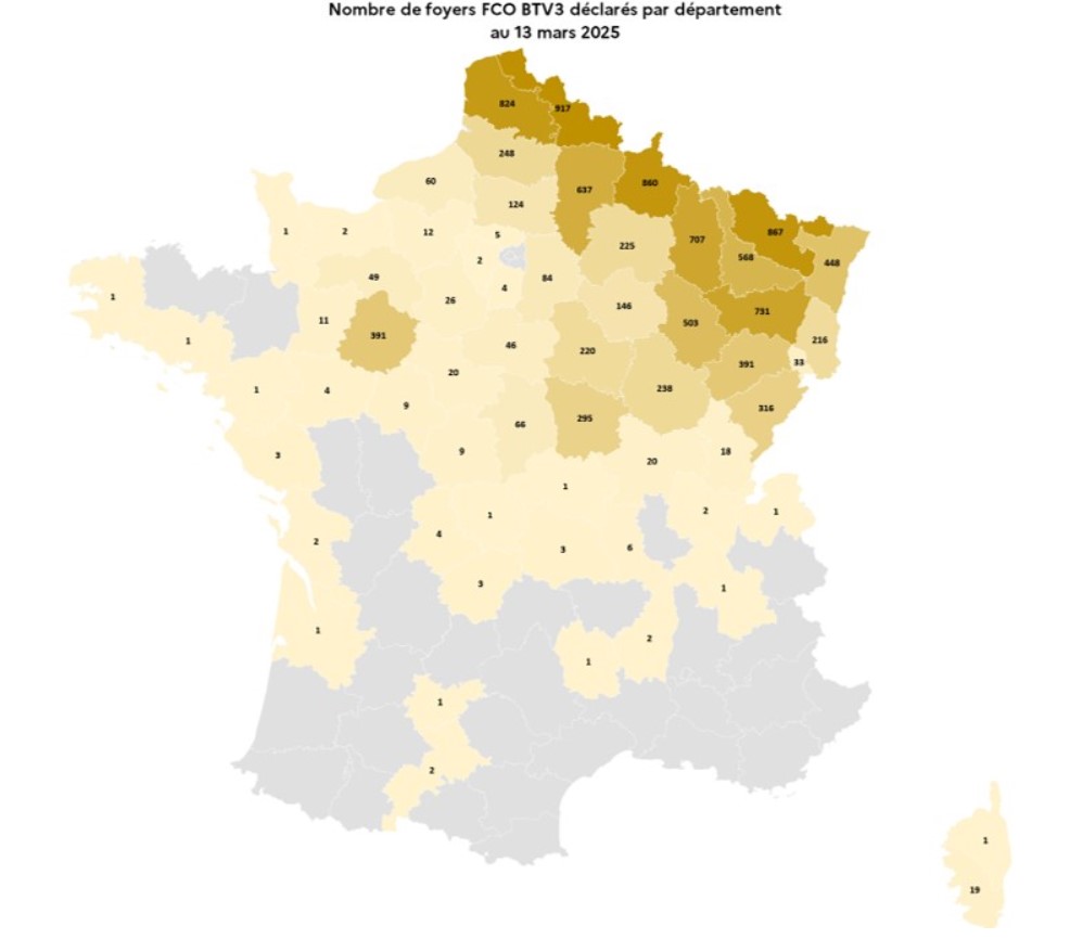 FCO3 130325