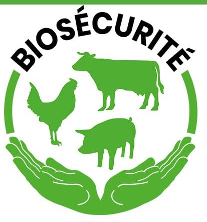 bioscurit_GDSF