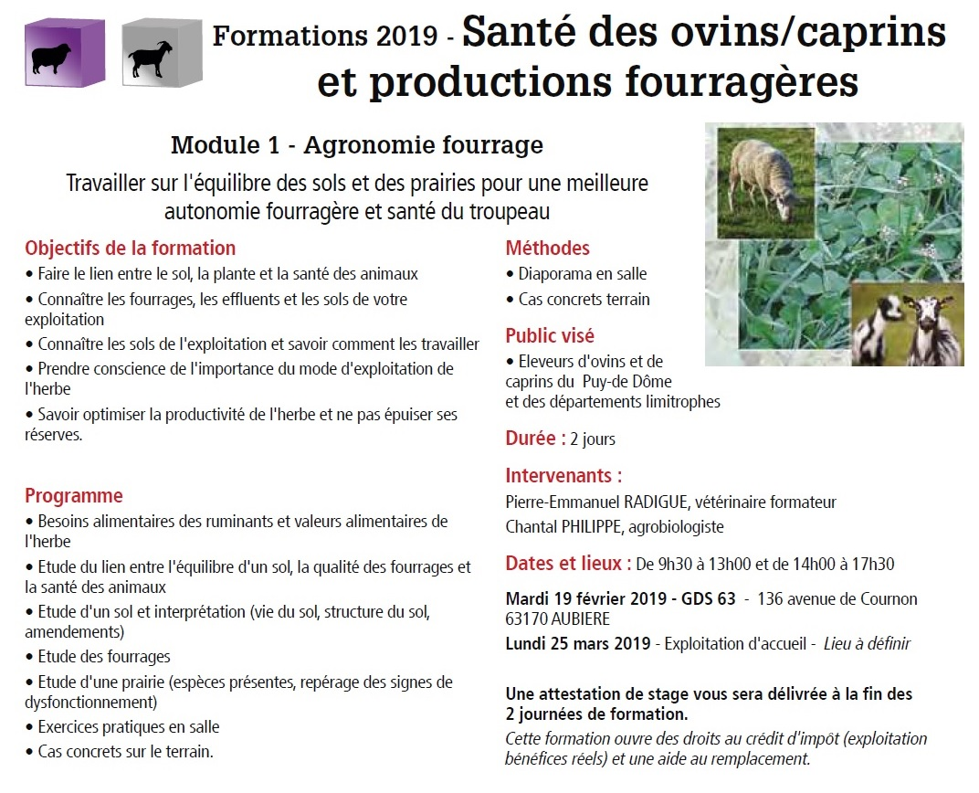 2019 FORMATIONS OVINS CAPRINS